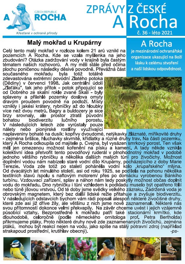 č. 36 – léto 2021