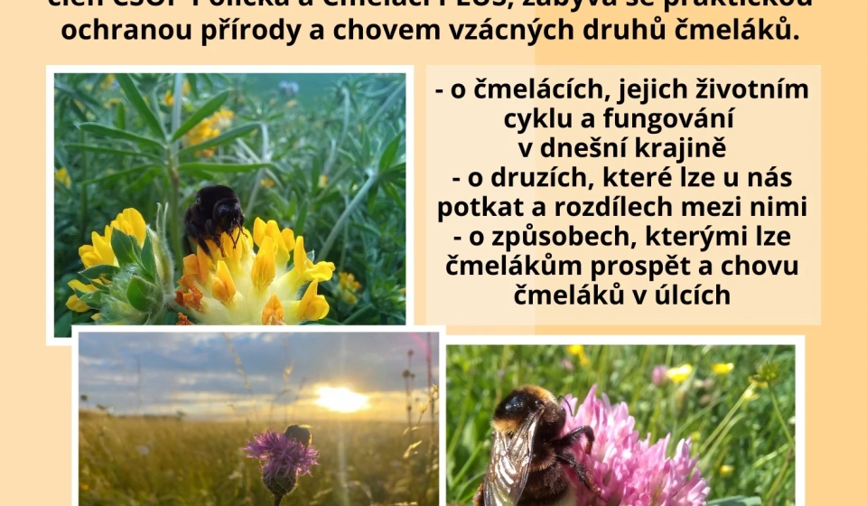 A-ROCHA-250117_Cmelaci-jpg