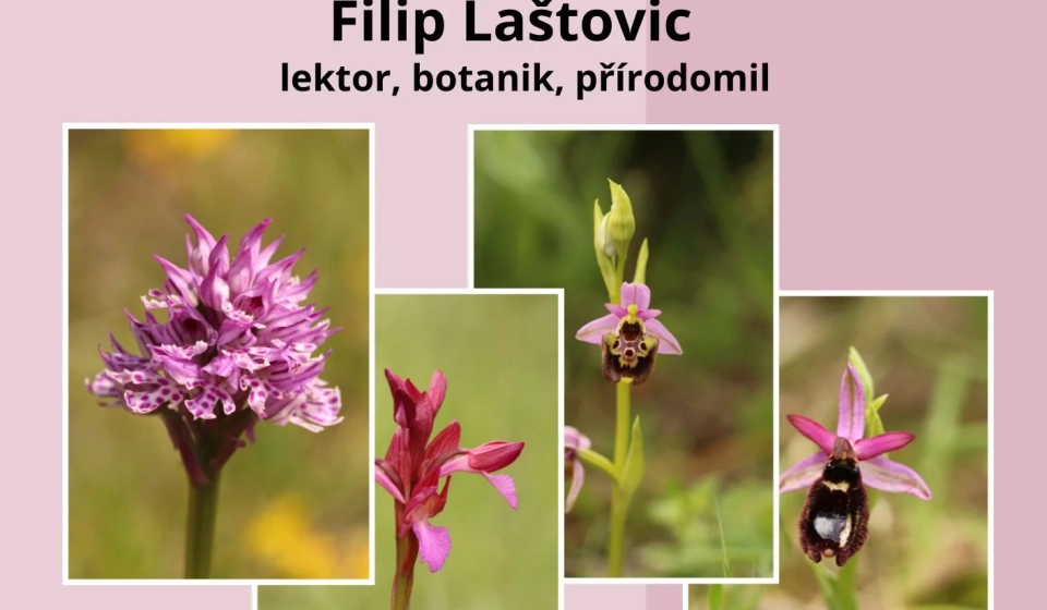 A-ROCHA-_7-3-2025_Orchideje