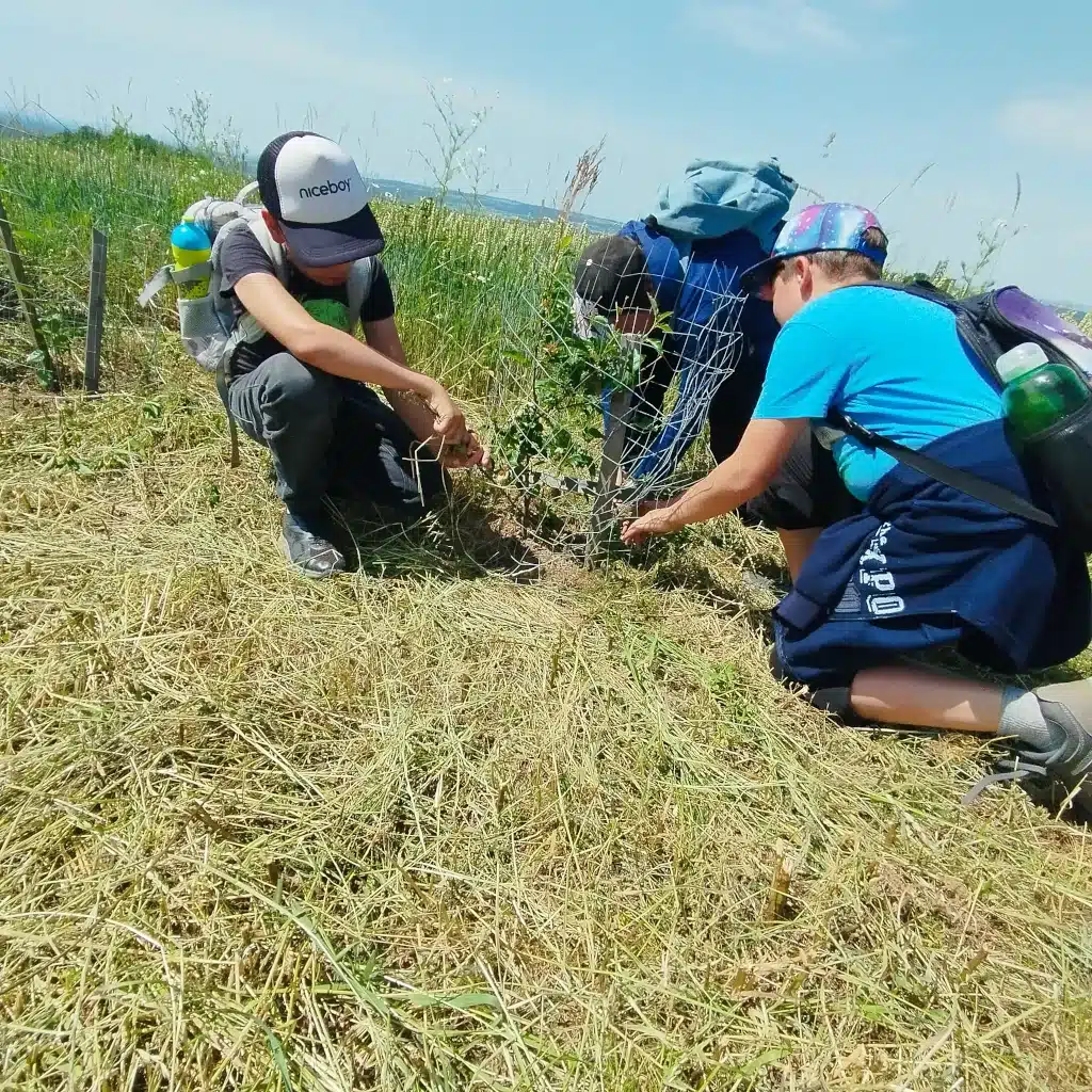 Děti z klubu instalují ochranné pletivo