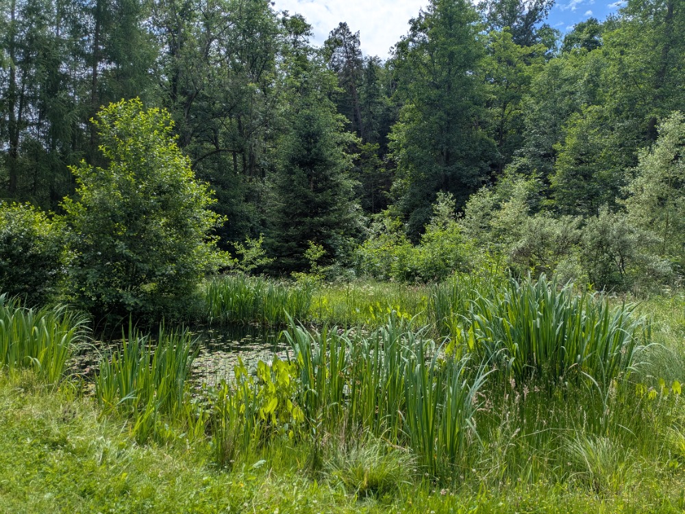 PXL_20260616_111420504