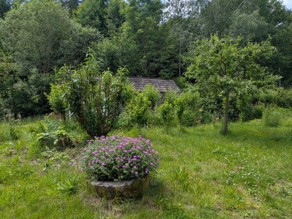PXL_20260616_112944202