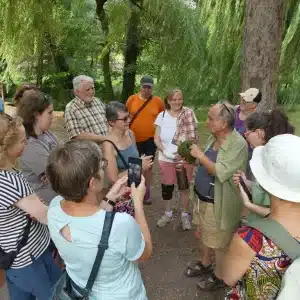 P1010878
