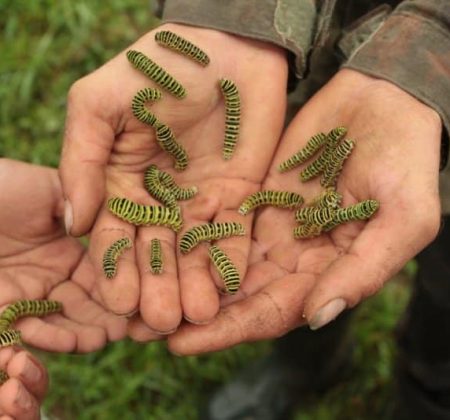 461770566_122117870420497746_505543823290445384_n 461770566_122117870420497746_505543823290445384_n