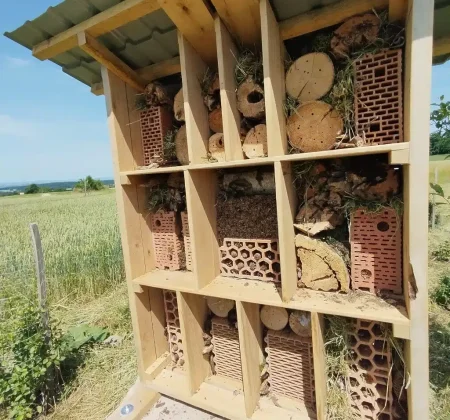 hotovy_hmyz_hotel hotovy_hmyz_hotel